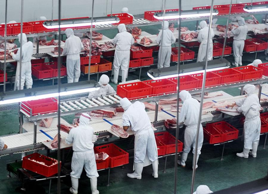 Food Processing Refrigeration