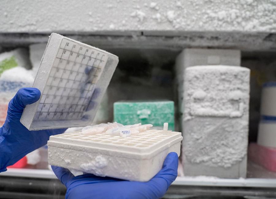 Healthcare Pharma Refrigeration